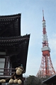 TYO_TokyoTowerZojojiTemple (45)